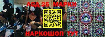 гидропоника Краснокаменск