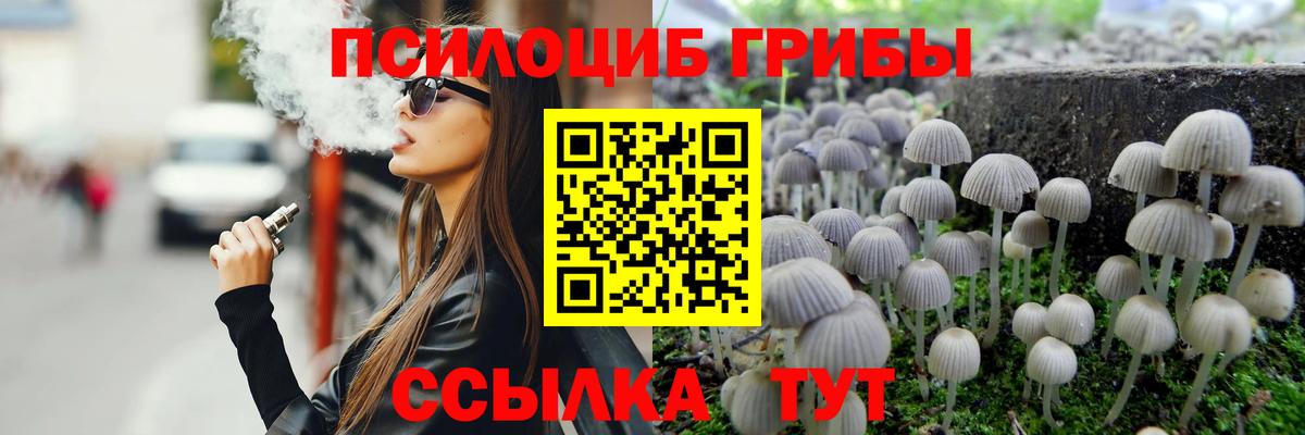 Кандалакша  Псилоцибиновые грибы Magic Shrooms  Вход с VPN 